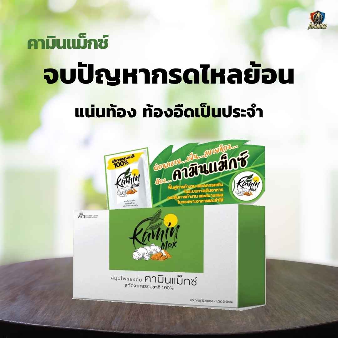 คามินแม็กซ์ (Kamin Max)