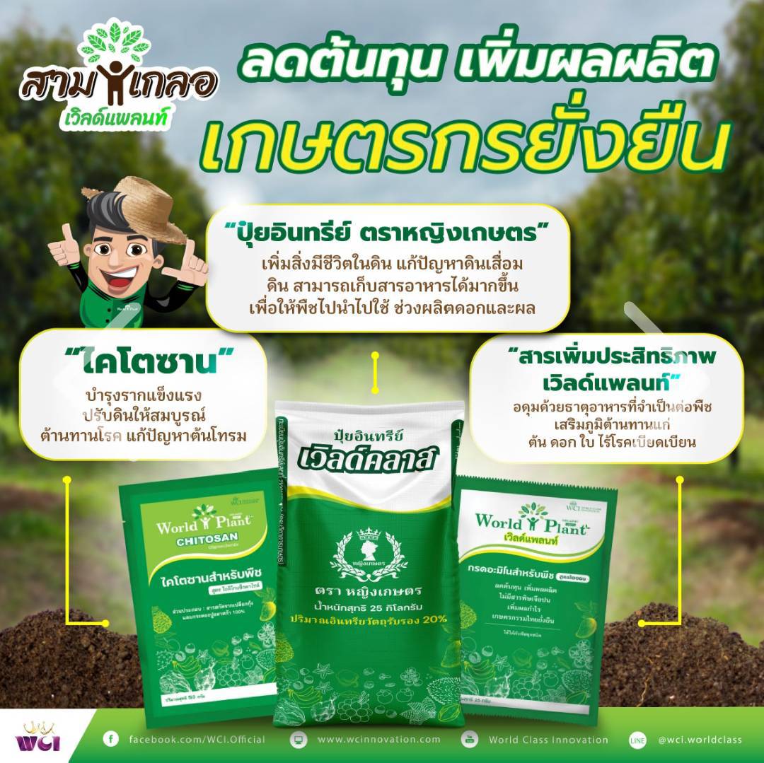 ภาพเพิ่มเติม