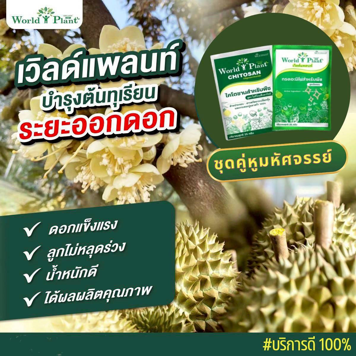 ภาพเพิ่มเติม