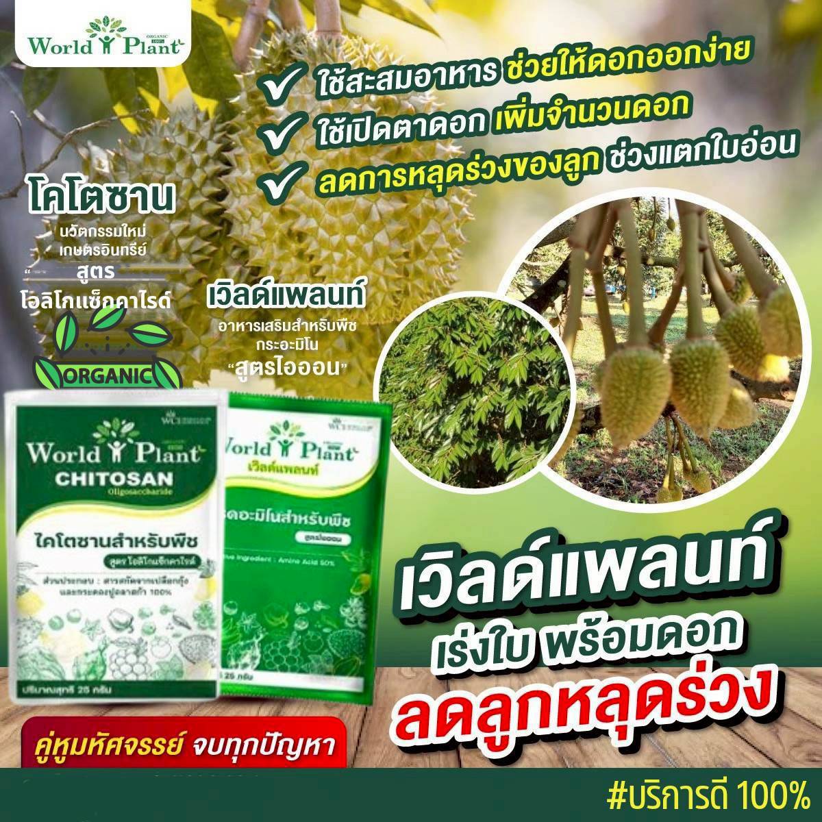 ภาพเพิ่มเติม