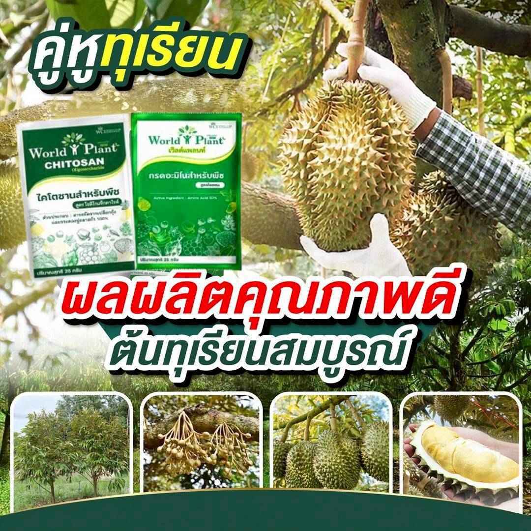 ภาพเพิ่มเติม