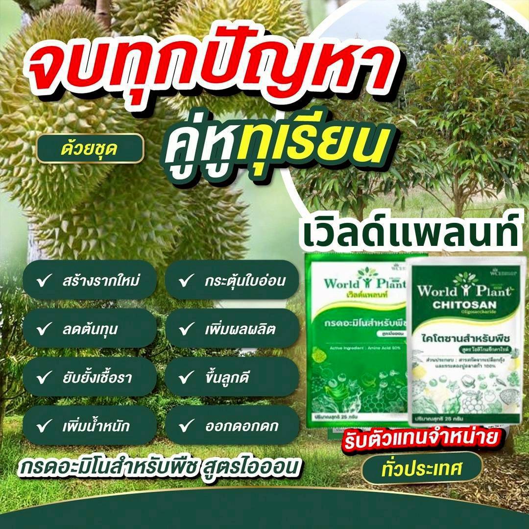 ภาพเพิ่มเติม