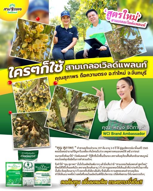 ภาพเพิ่มเติม