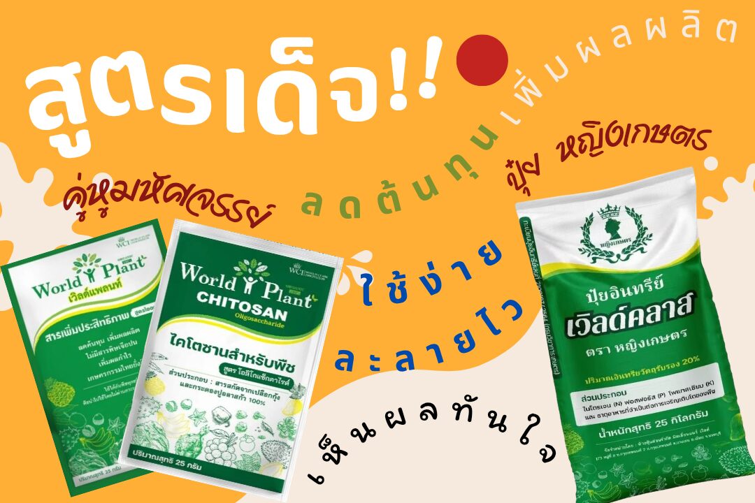 ภาพเพิ่มเติม