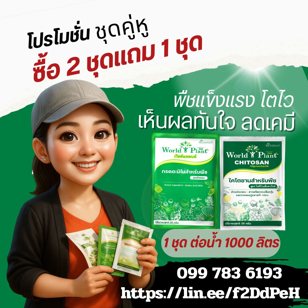 ภาพเพิ่มเติม