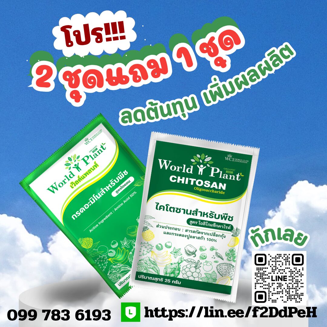 ภาพเพิ่มเติม