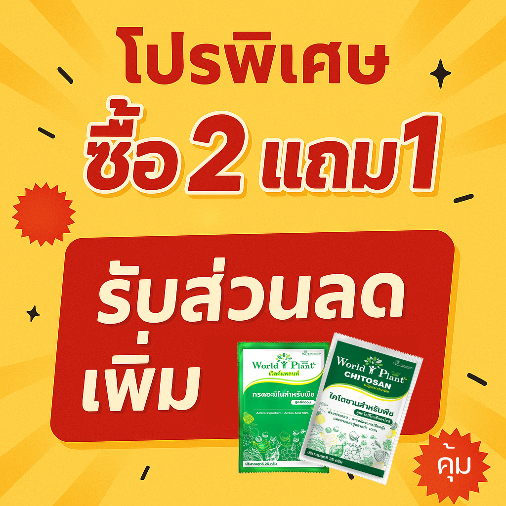 ภาพเพิ่มเติม