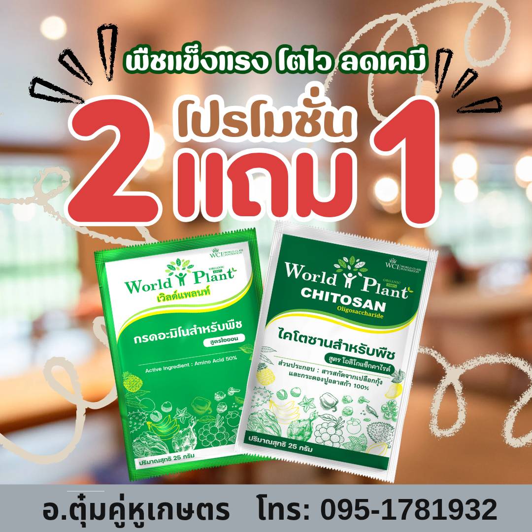 ภาพเพิ่มเติม