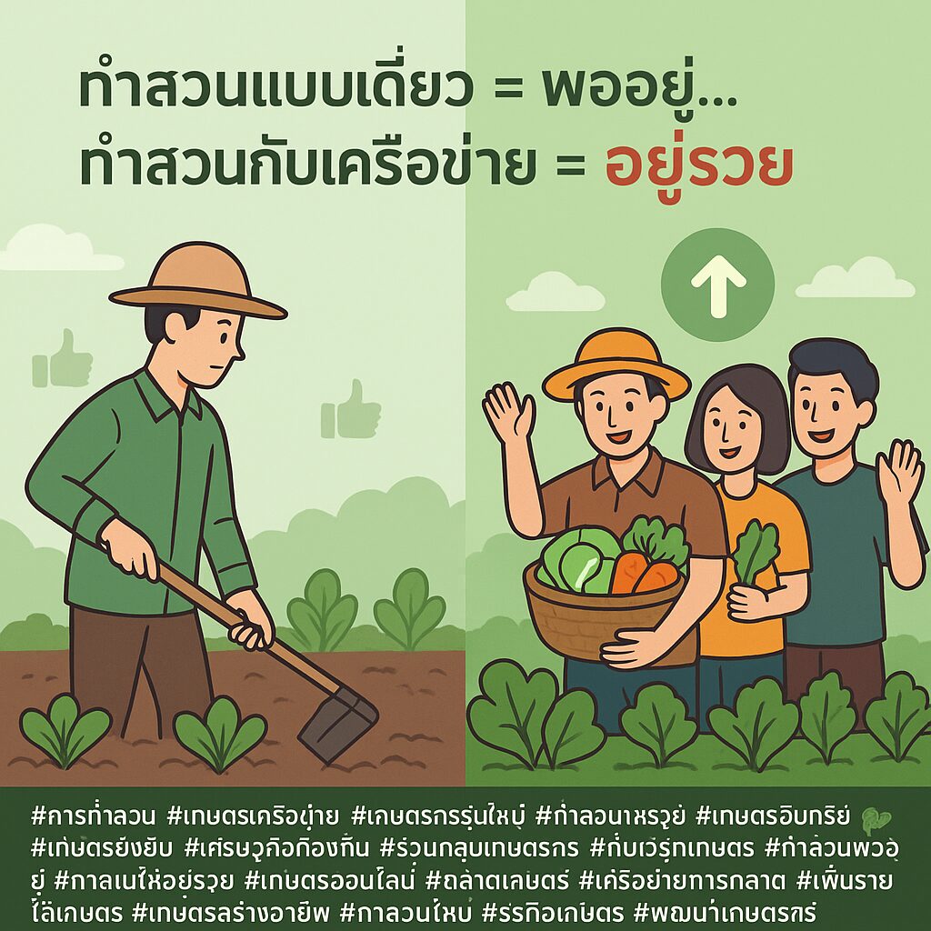 การทำสวนแบบเดี่ยว vs เครือข่ายเกษตร