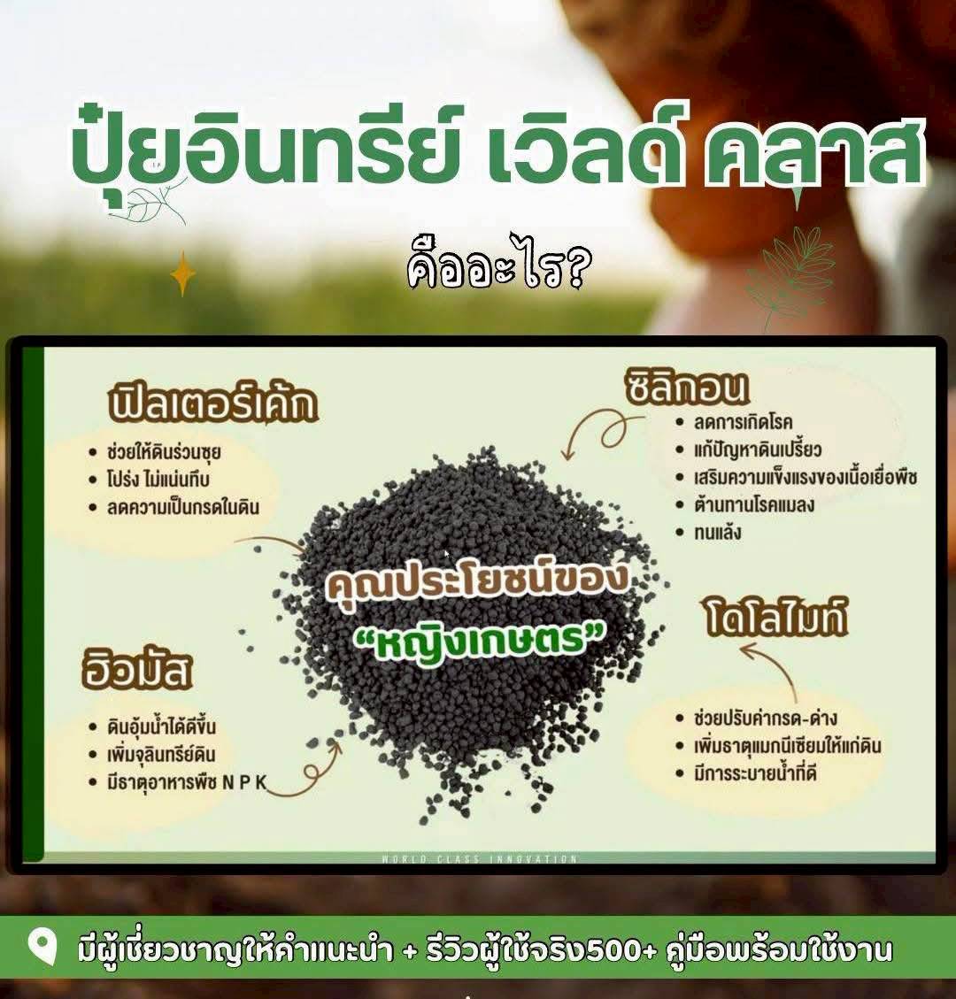 ภาพเพิ่มเติม