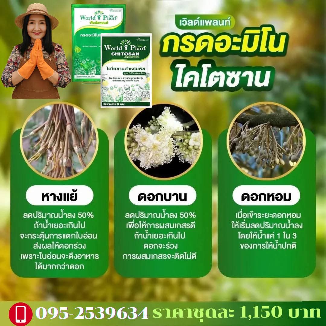 ภาพเพิ่มเติม