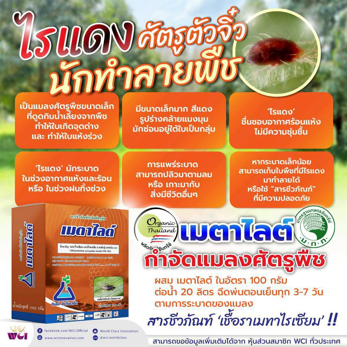 ภาพเพิ่มเติม