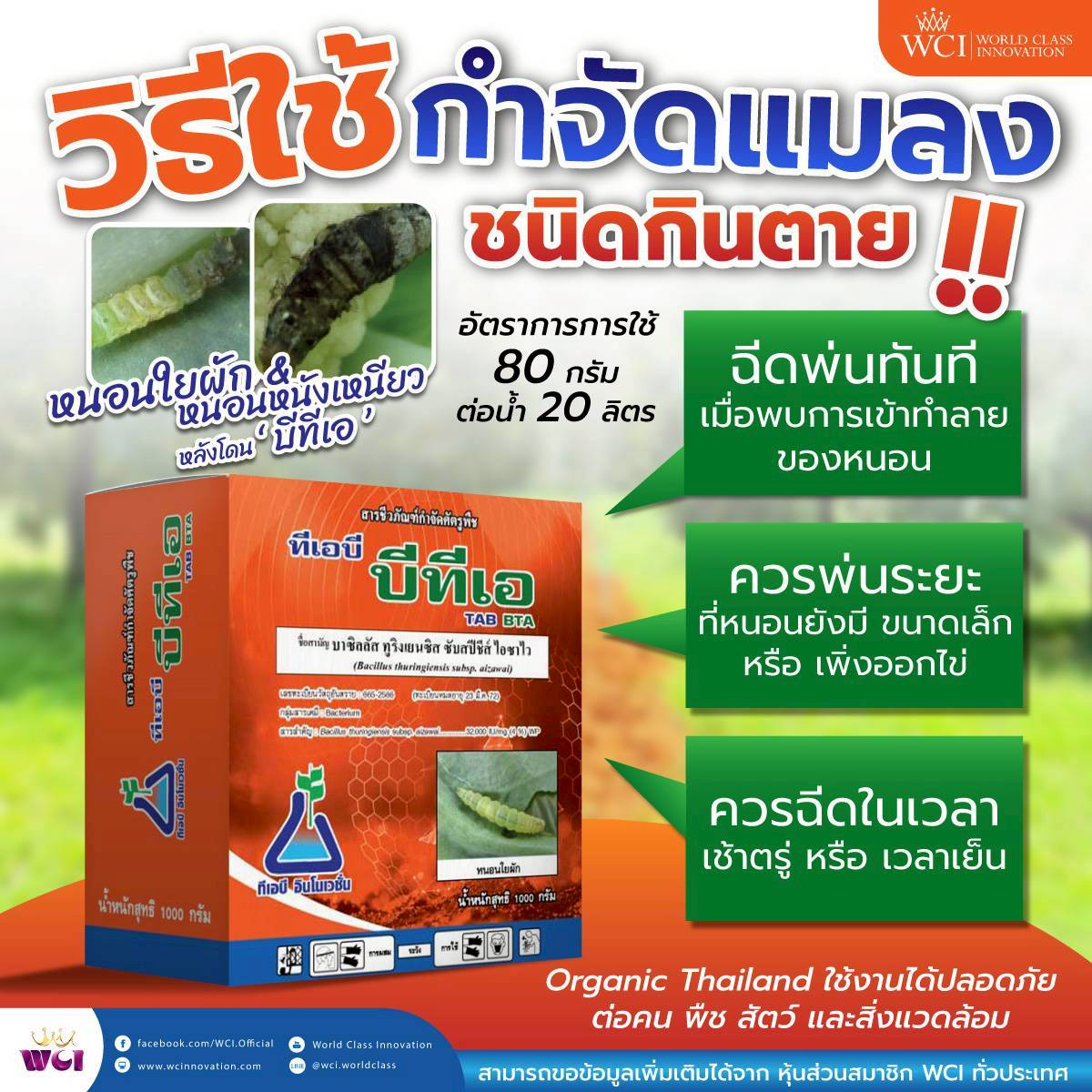 ภาพเพิ่มเติม