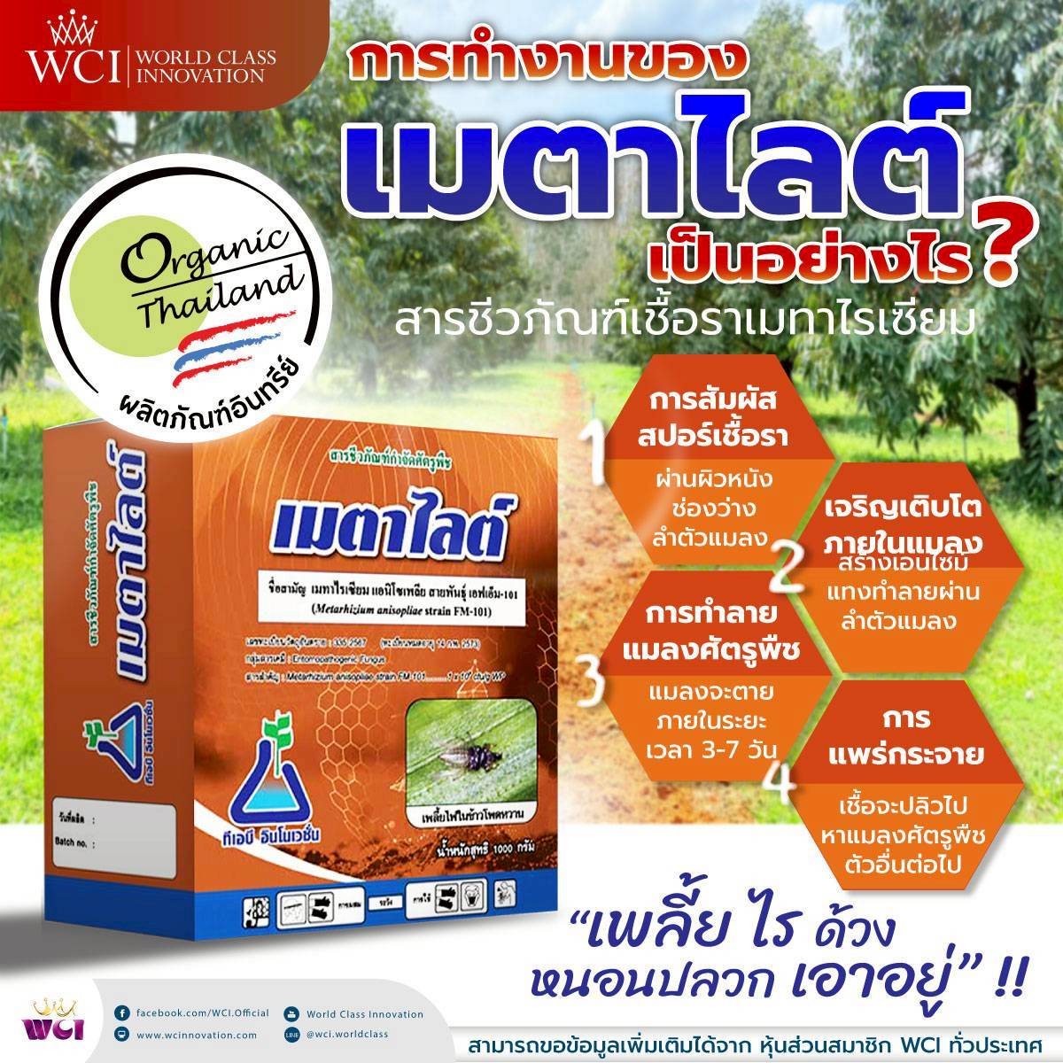 ภาพเพิ่มเติม