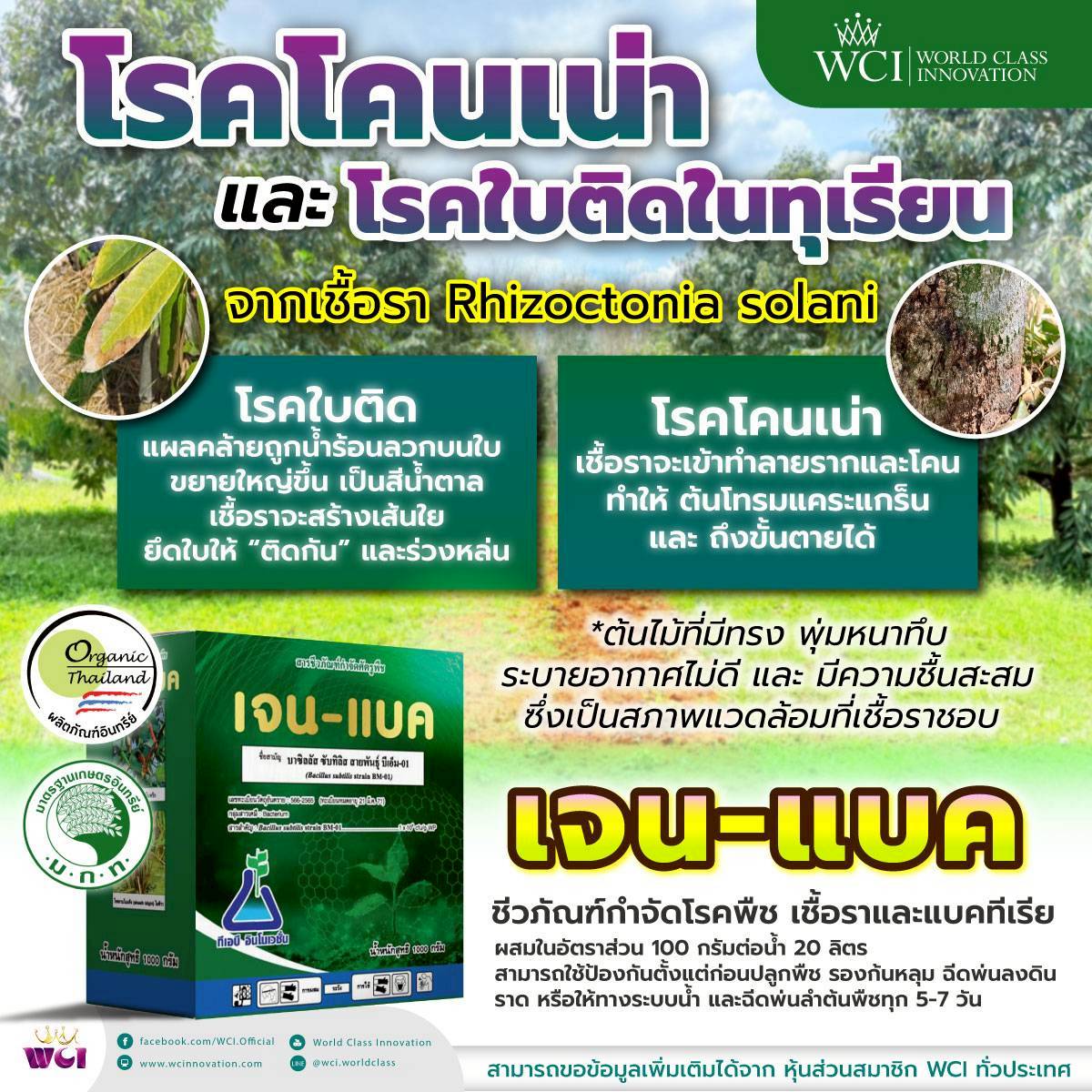 ภาพเพิ่มเติม