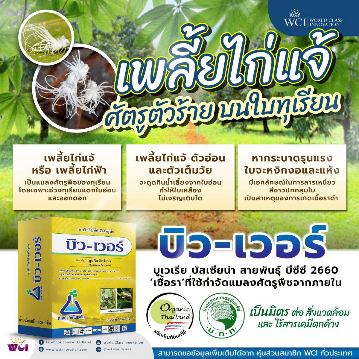 ภาพเพิ่มเติม