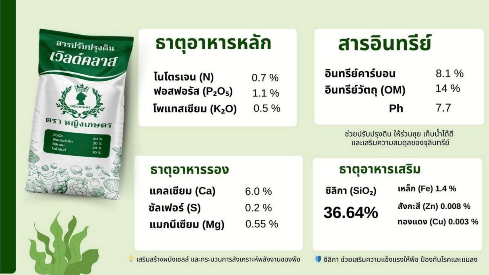 ภาพเพิ่มเติม