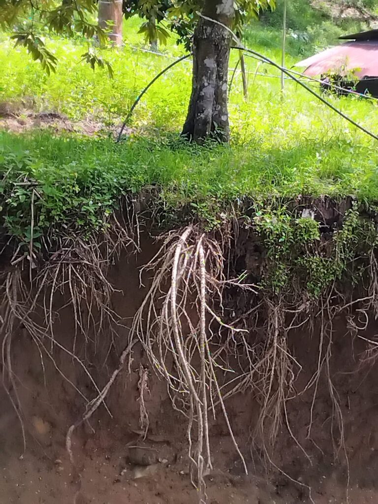 FB IMG 1763092696024 1